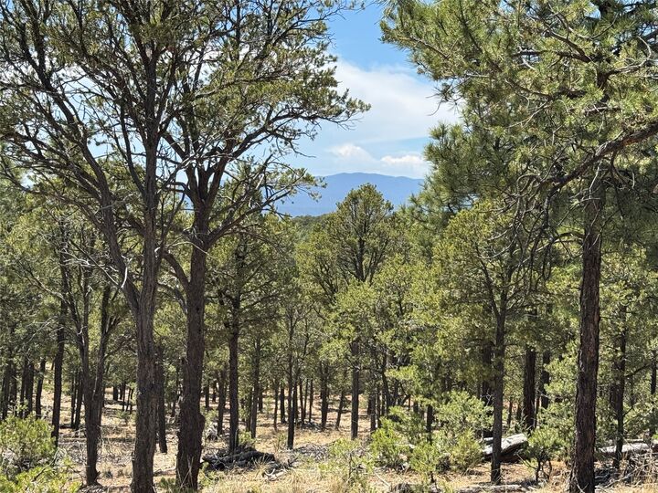 Property Photo: Lot 20 Dancing Hawk Drive NM 87552