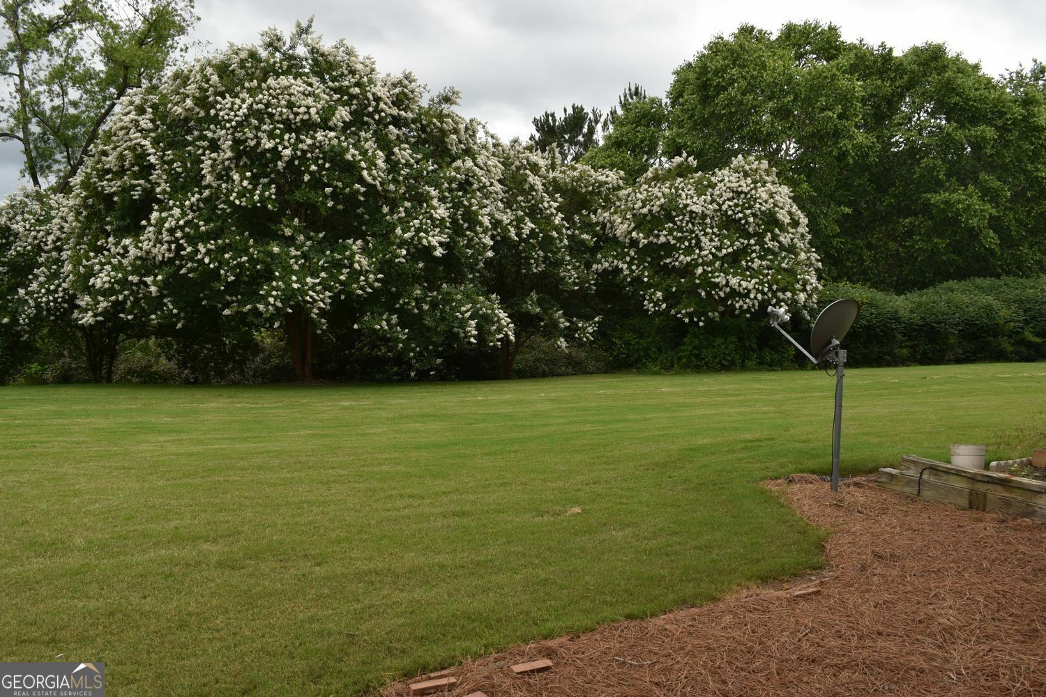 Property Photo: 556 Windstone Trail GA 30004