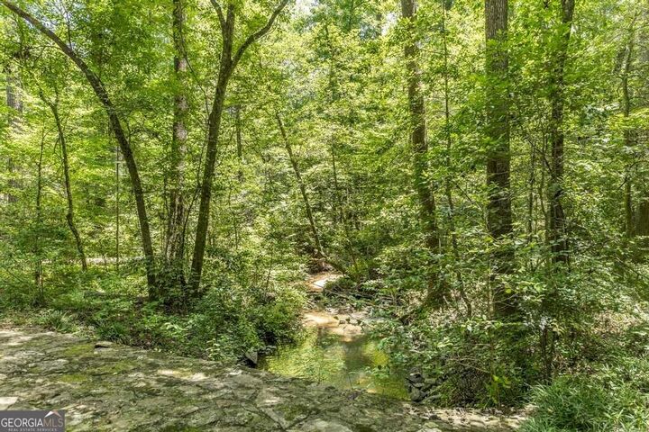 0 Creekwood Drive  Dublin GA 31021 photo