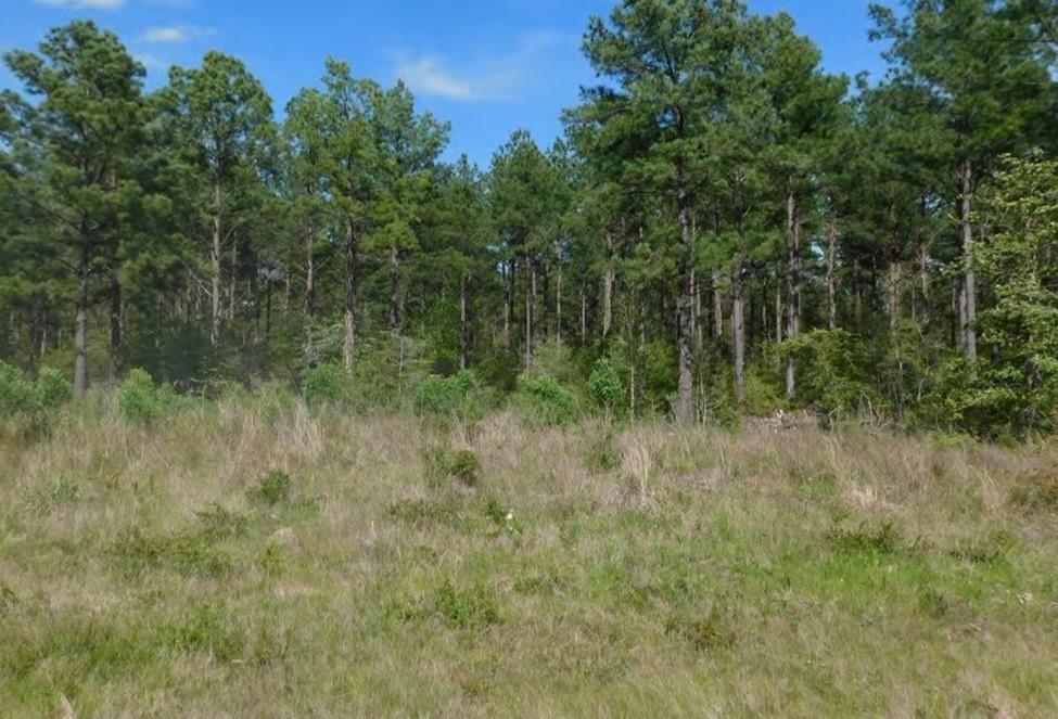 Property Photo: Tbd Martin Cochran TX 75949
