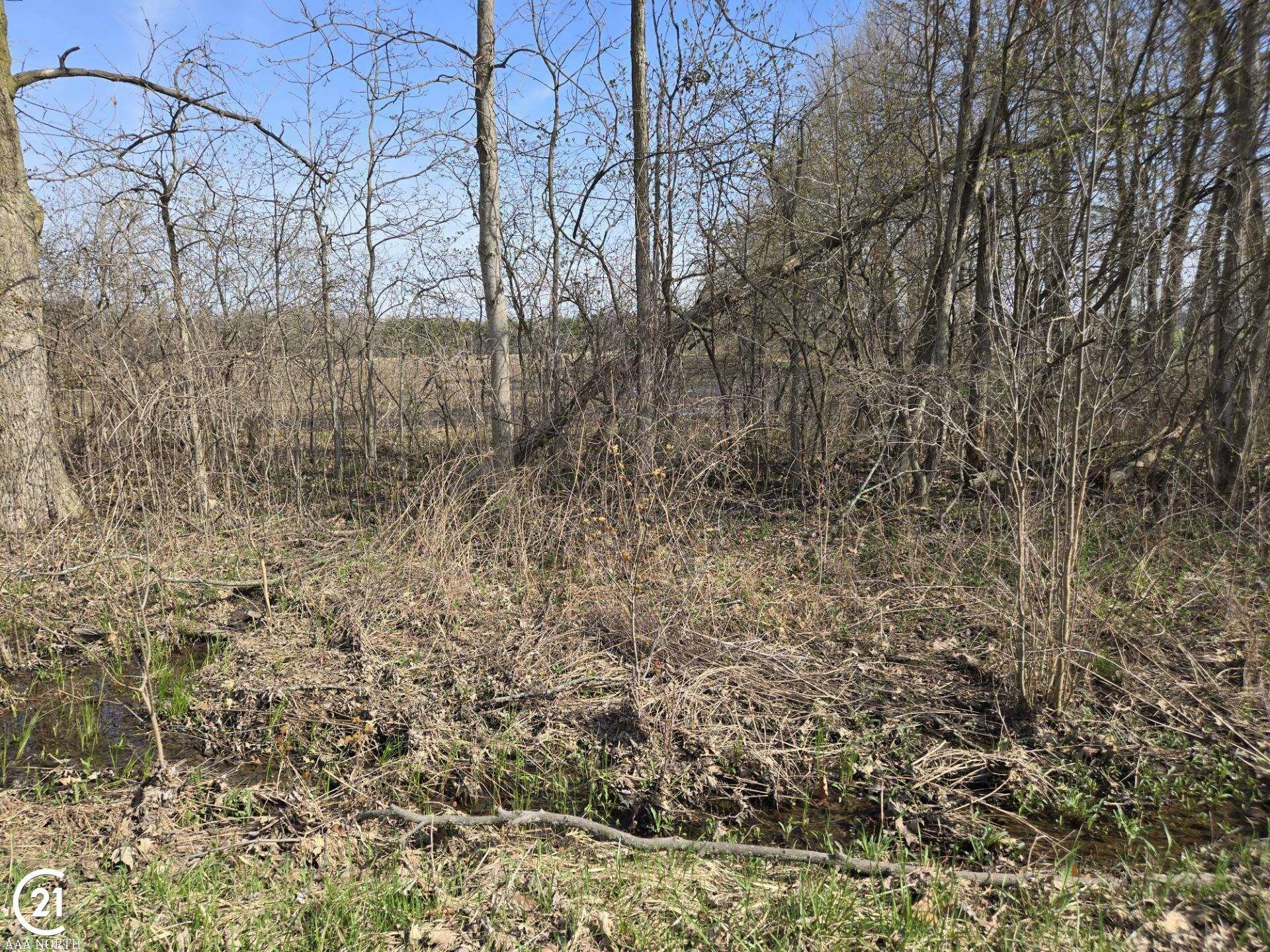 Property Photo: 0 Meskill (Lot D) Road MI 48063