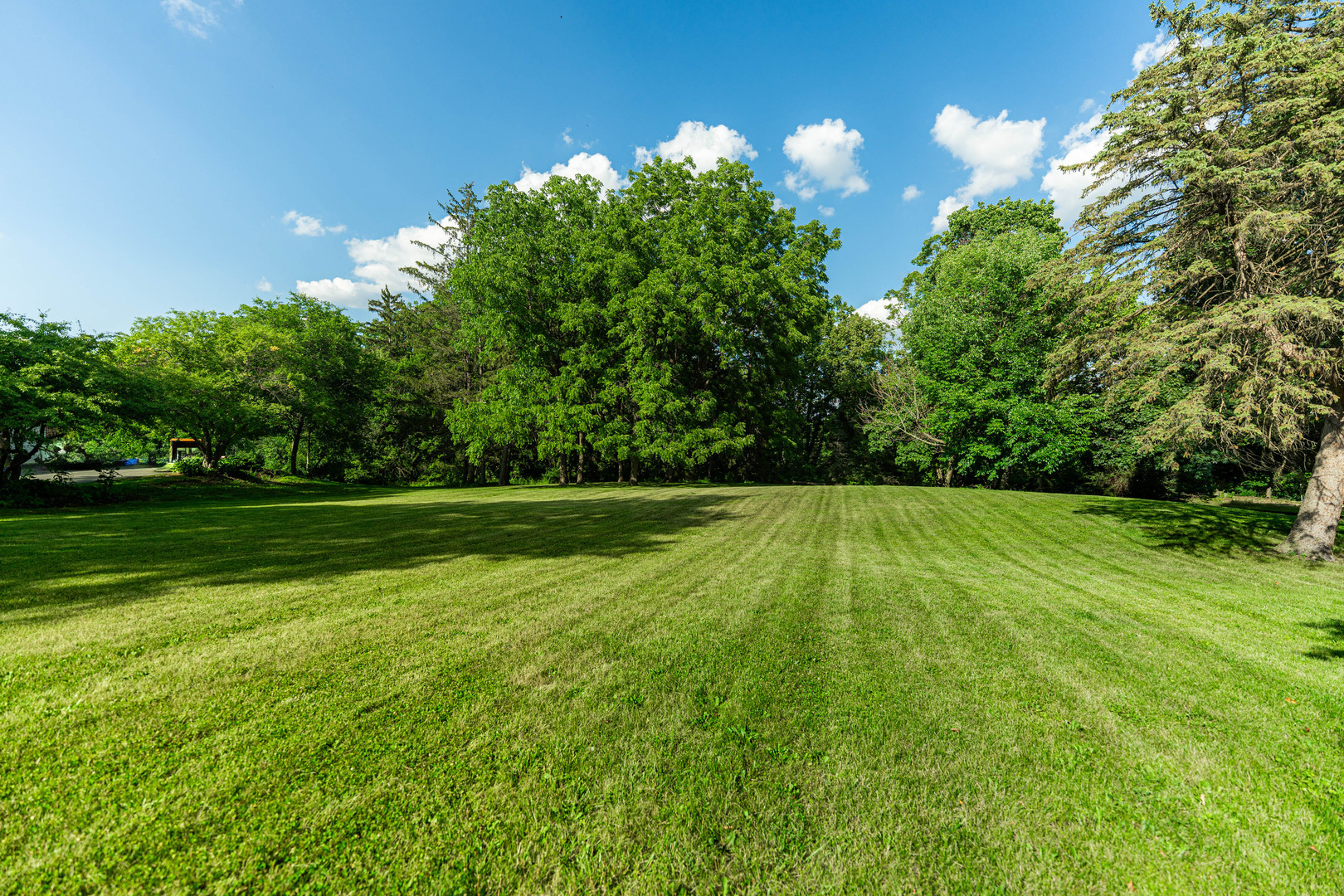 Property Photo: 36W172 Silver Glen Court IL 60175