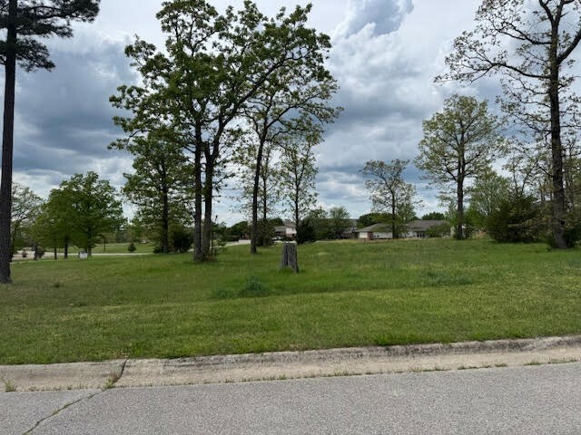 Property Photo: 45 Park Drive AR 72631