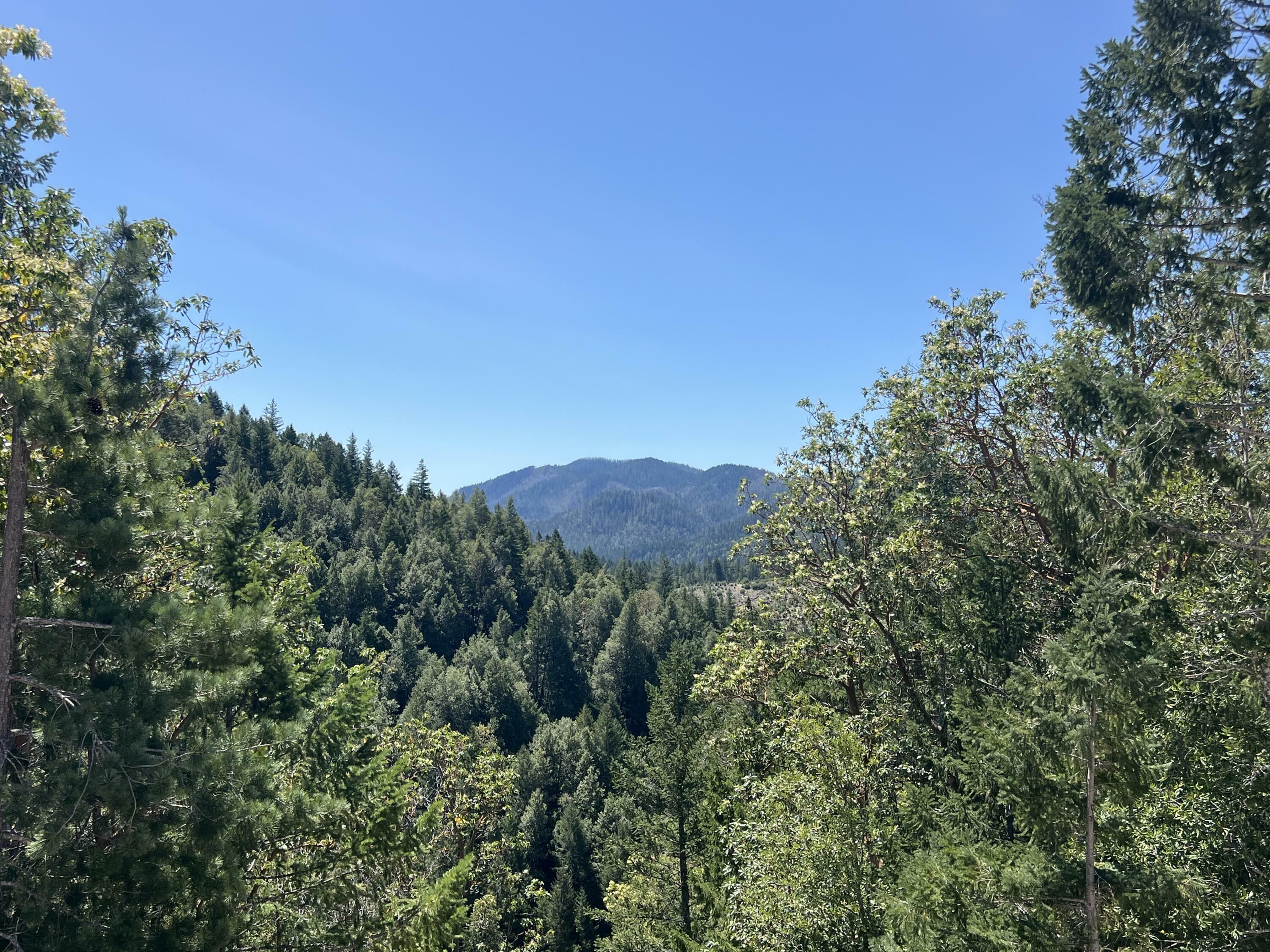 Property Photo: Redwood Highway 1101 OR 97534