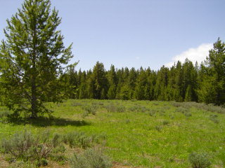Property Photo: 3943 Cowan Road ID 83429