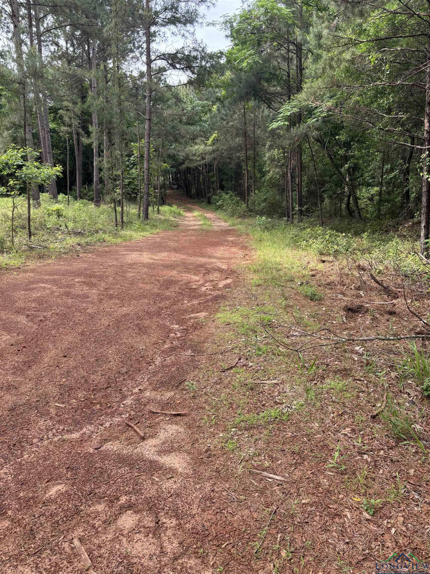 Property Photo: Private Road TX 75669