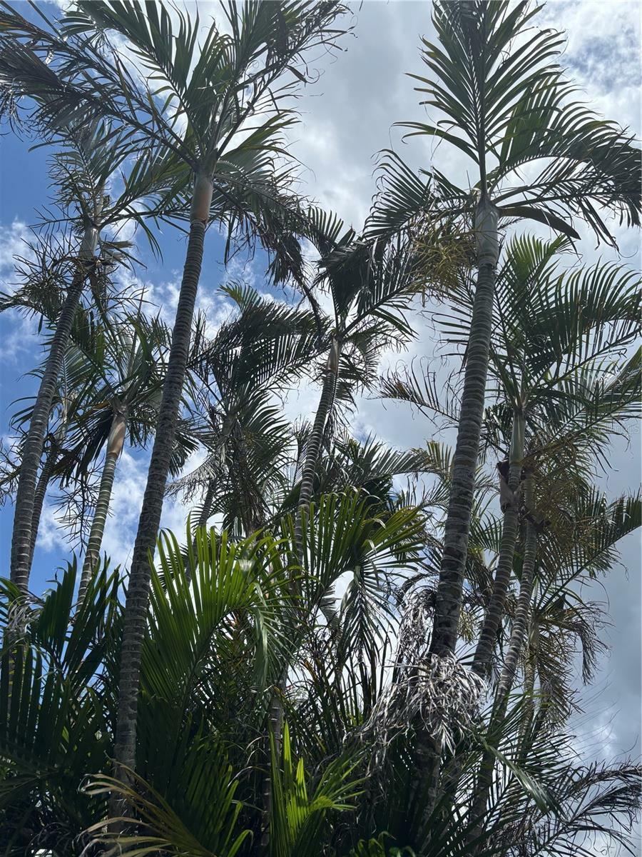 Property Photo: 618 Bird Bay Drive S 109 FL 34285