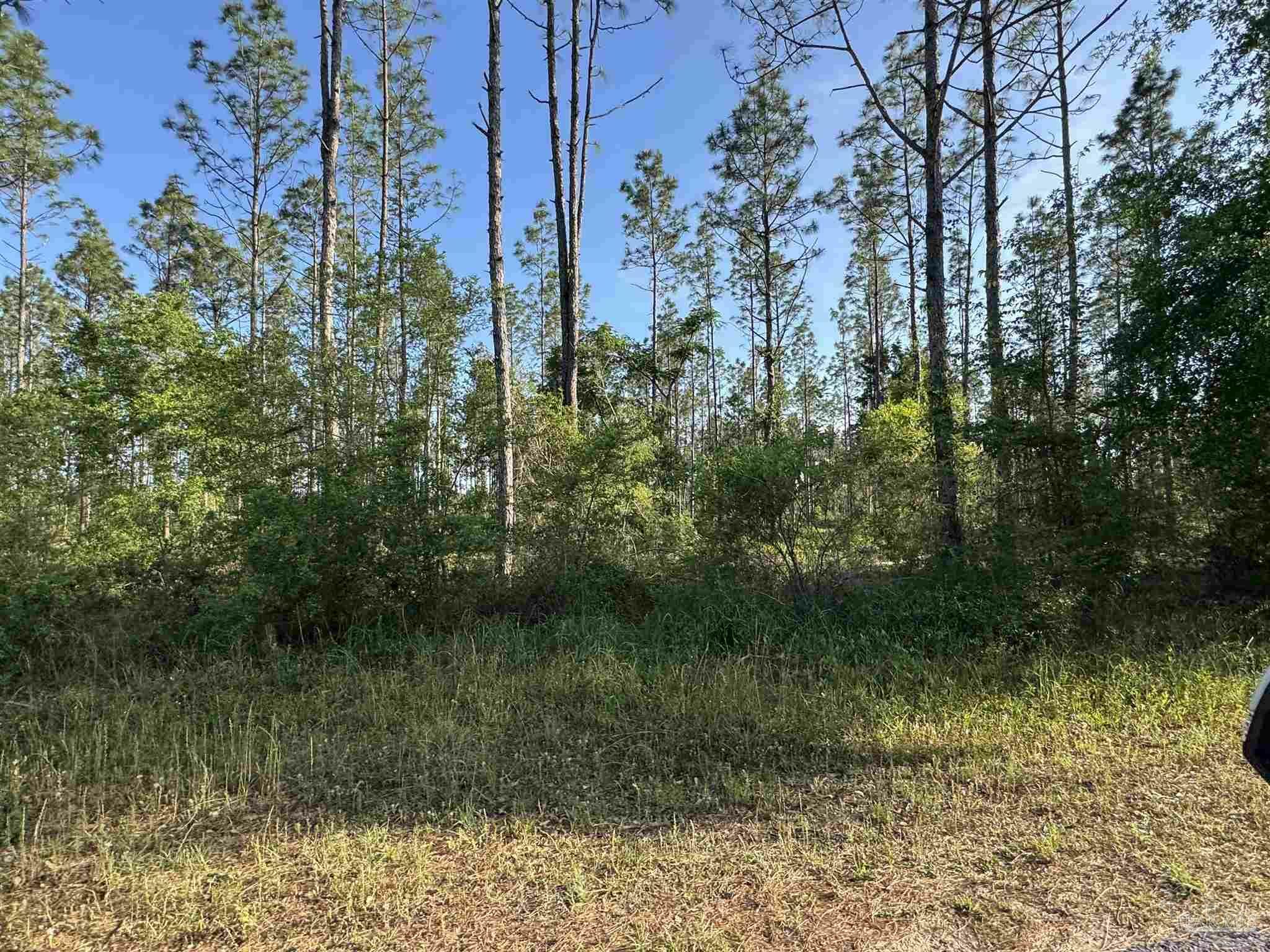 Property Photo: 0001 Martin Rd FL 32570