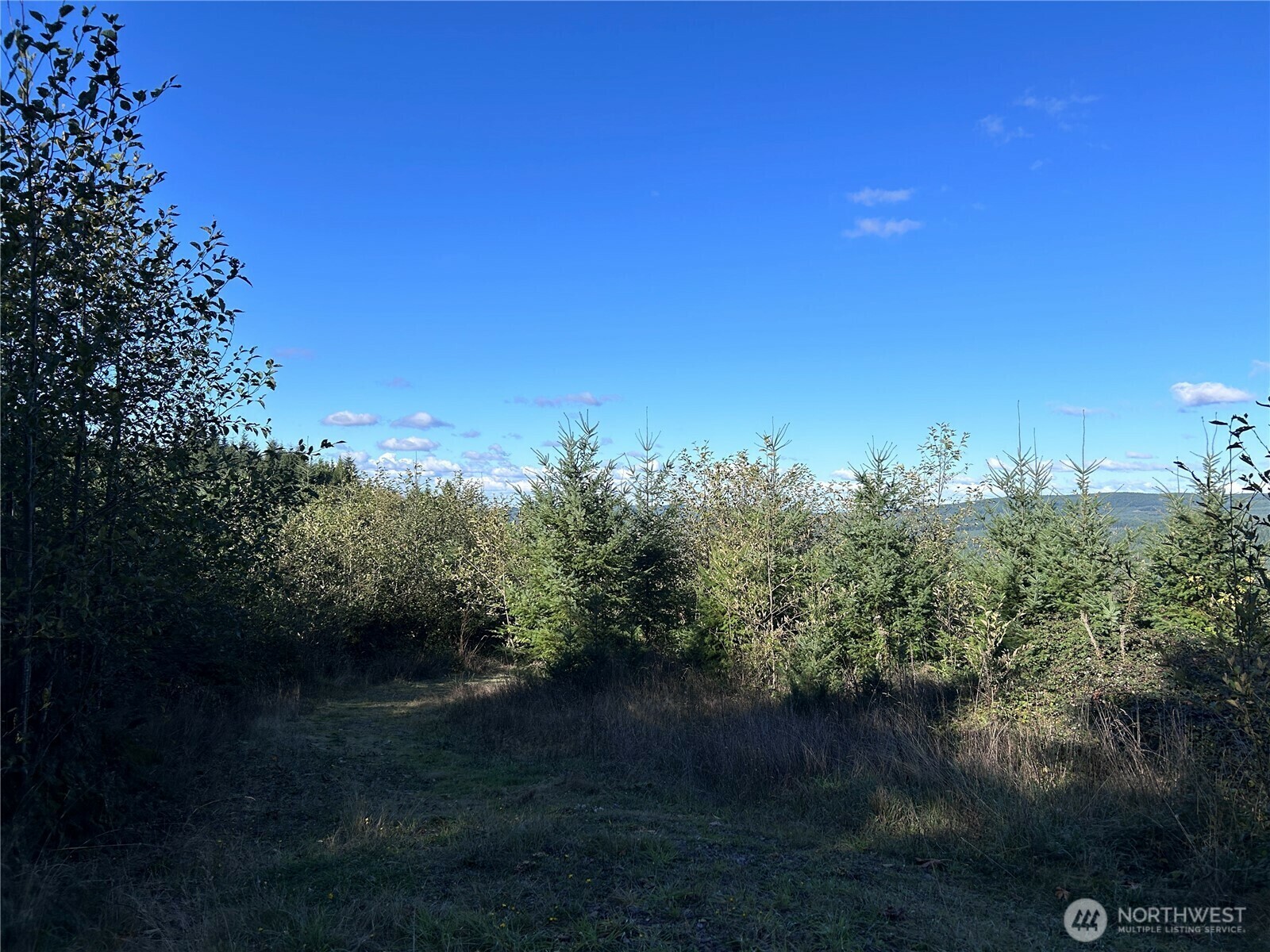 Property Photo: 0 Nka Mt Brynion Road WA 98626