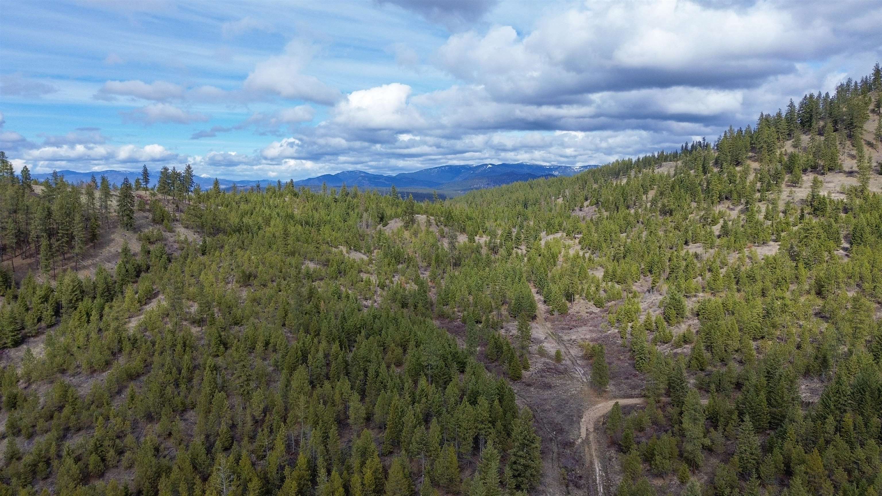 Property Photo: 352X Greene Rd WA 99181