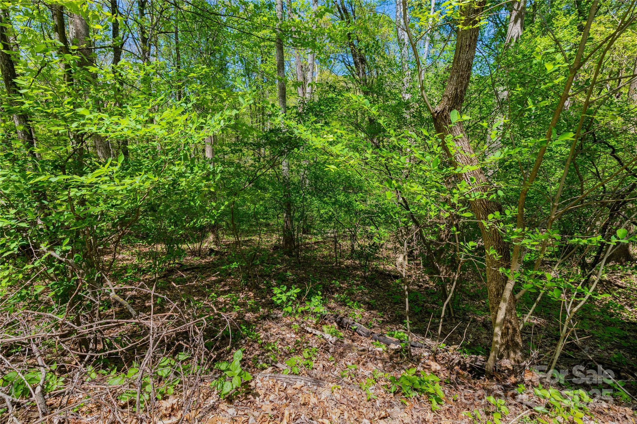 Property Photo: Tbd Whispering Woods Path NC 28754