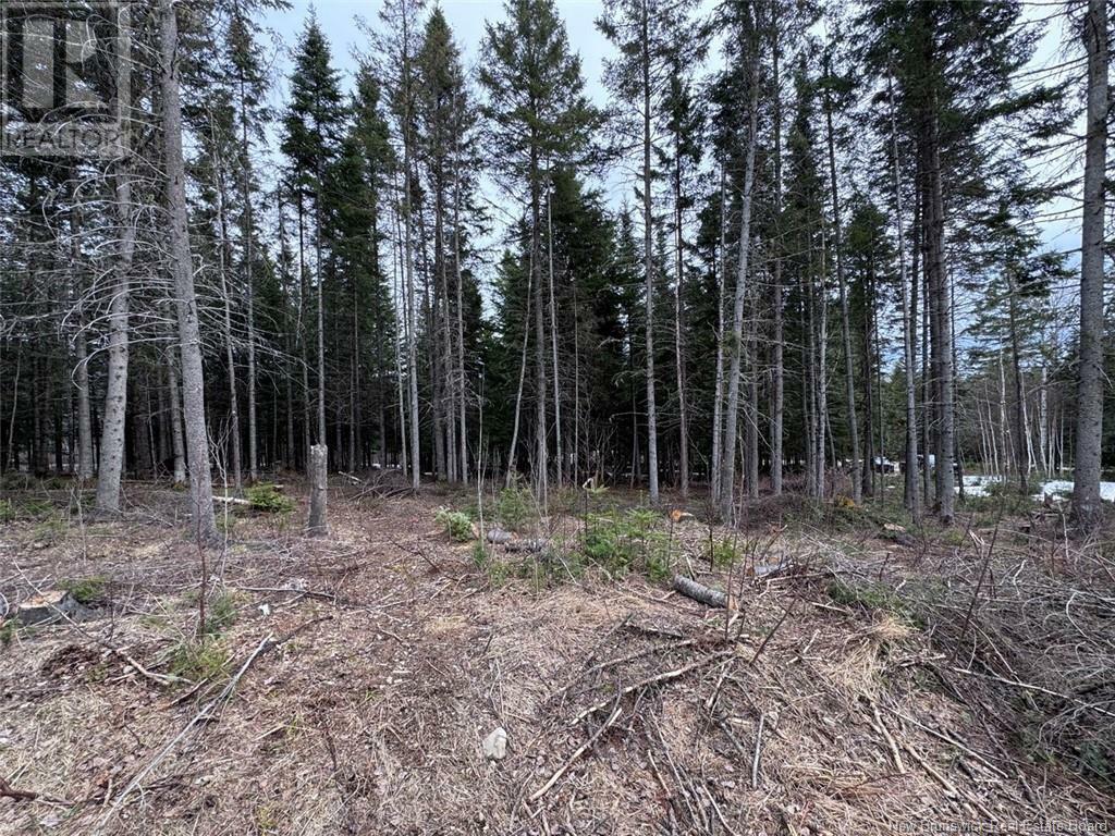 Property Photo:  Lot 36 Road  NB E8A 2M5 
