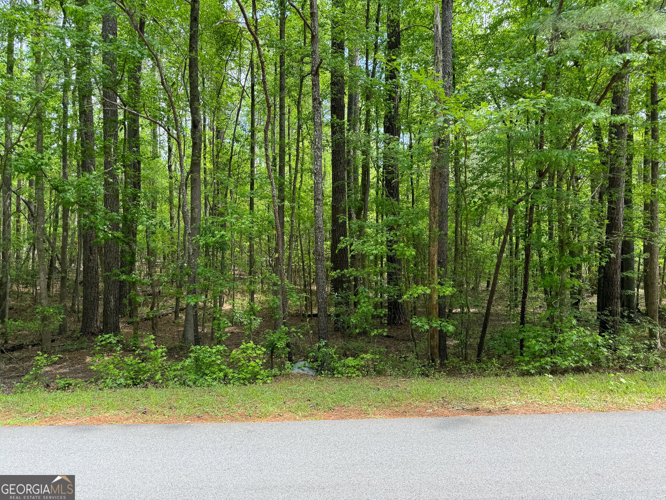 Property Photo: 920 W Lake Drive GA 30054