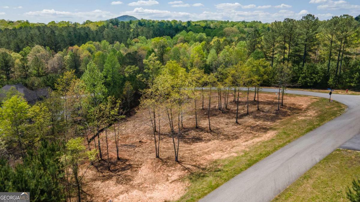 Property Photo: Lot 41 Sandy Lake Lane GA 30512
