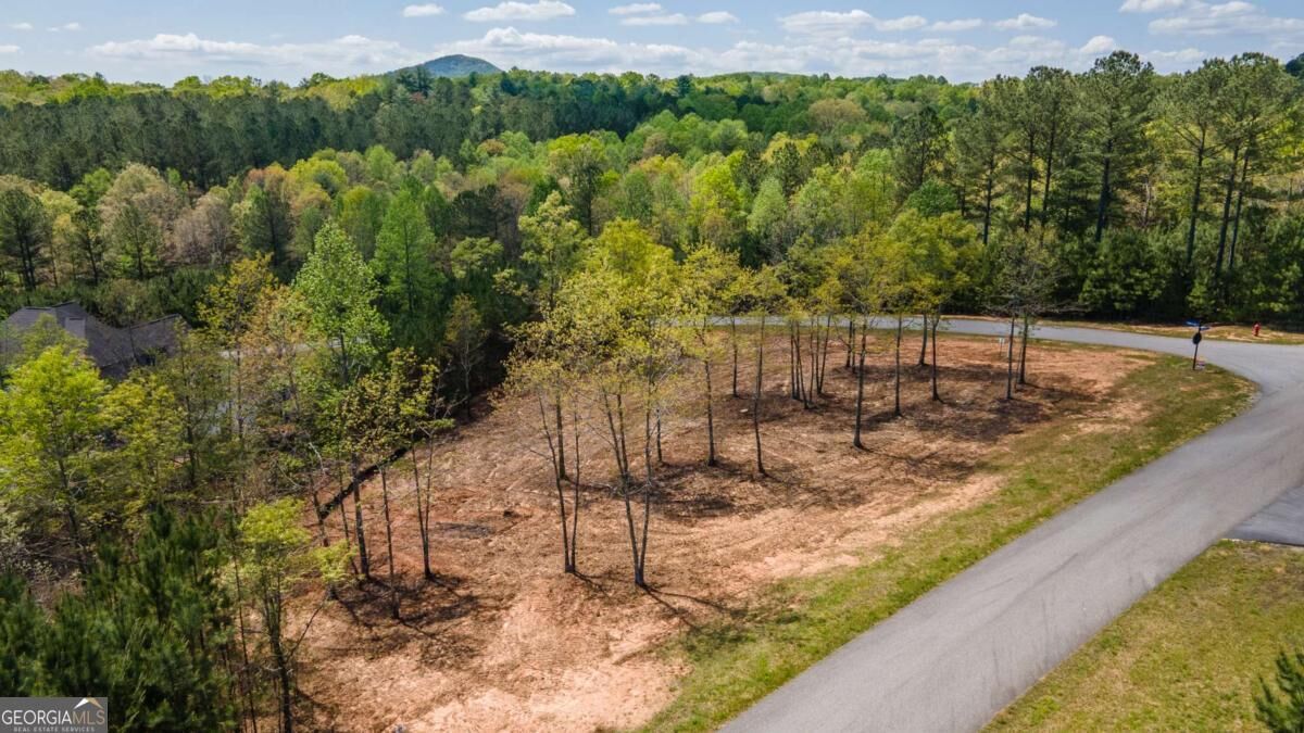Property Photo:  Lot 41 Sandy Lake Lane  GA 30512 