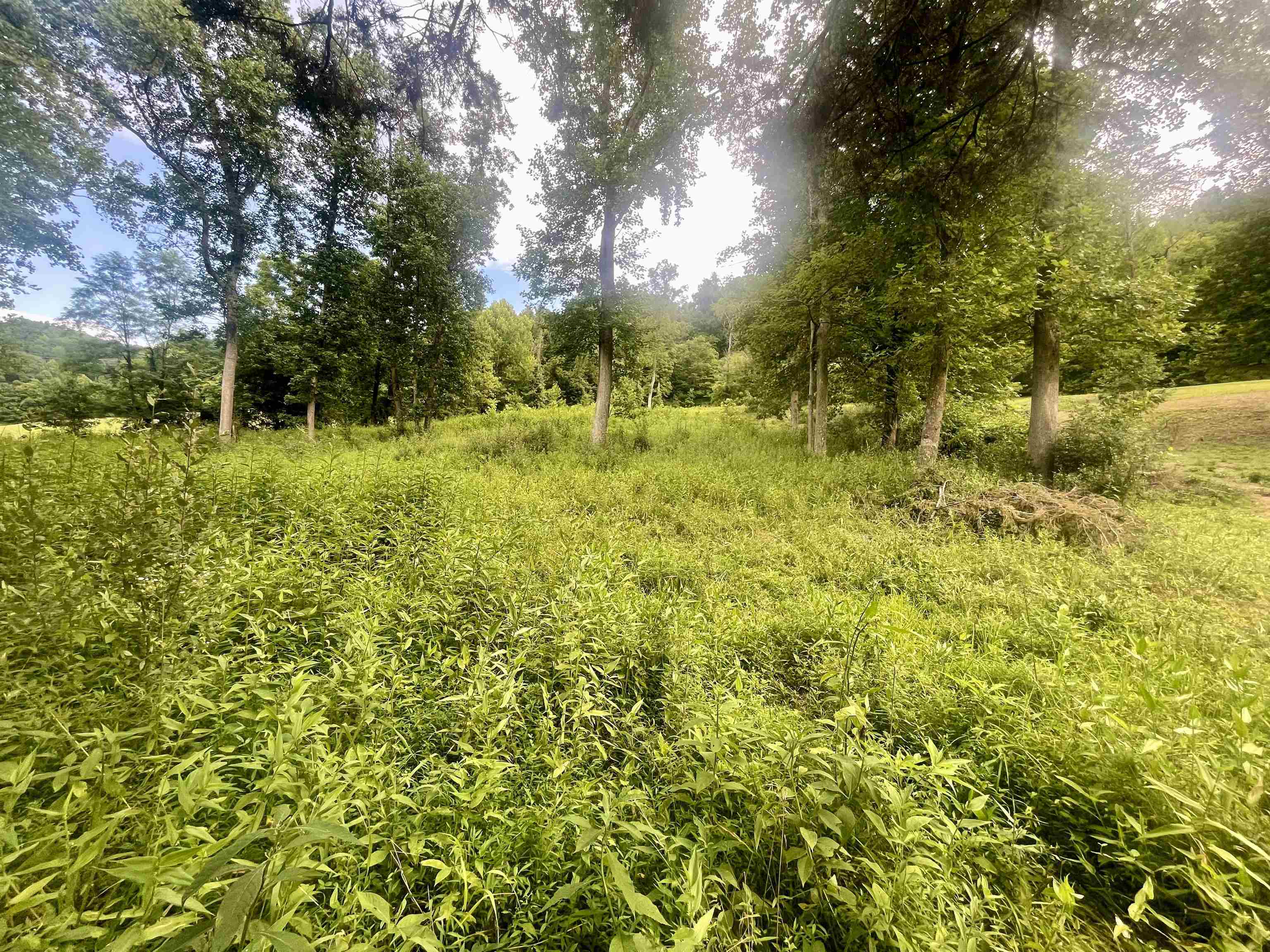 Property Photo: 0 Malcolm Road WV 25504