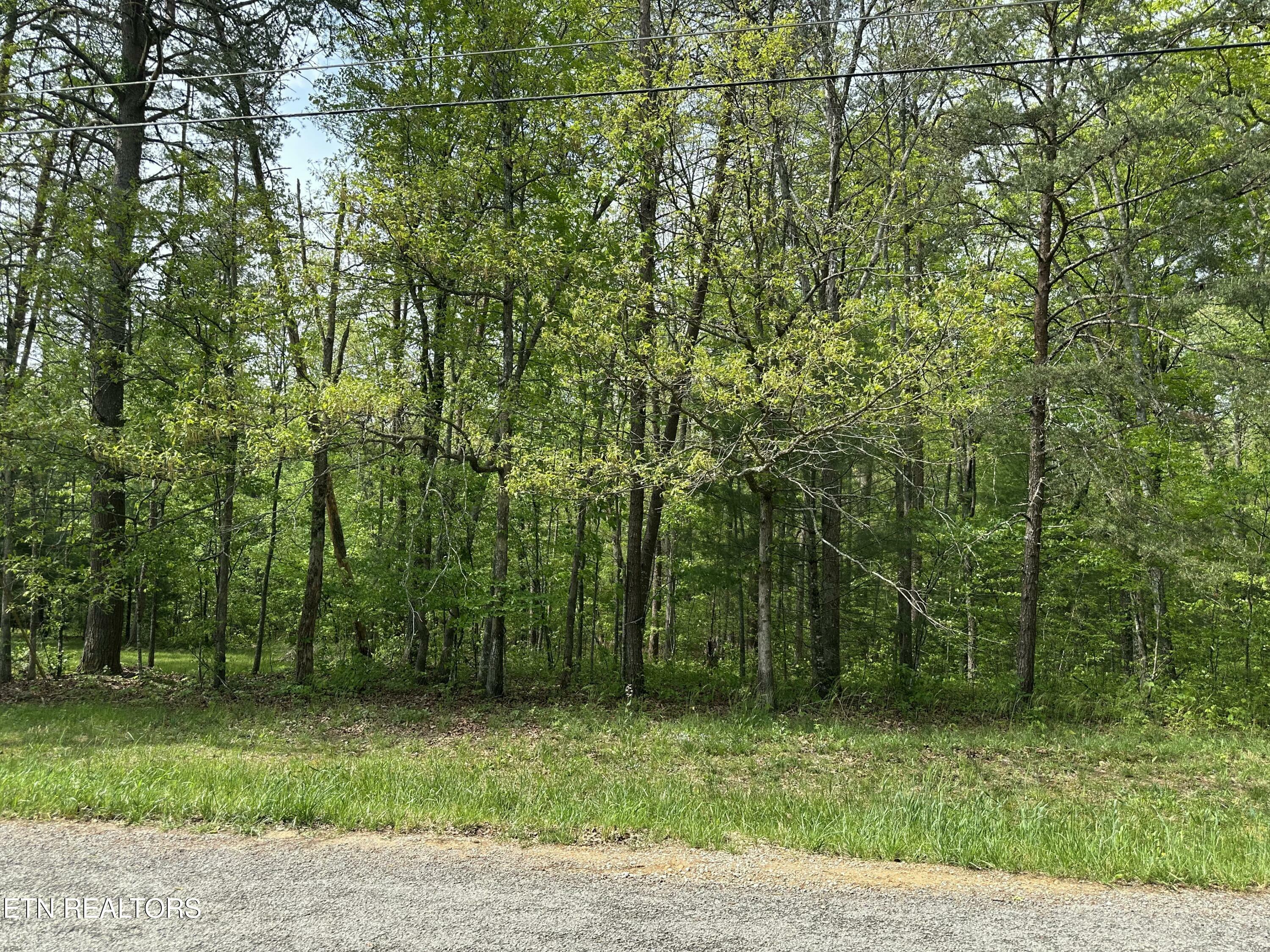 Property Photo:  118 Tawny Oak Loop  TN 38558 
