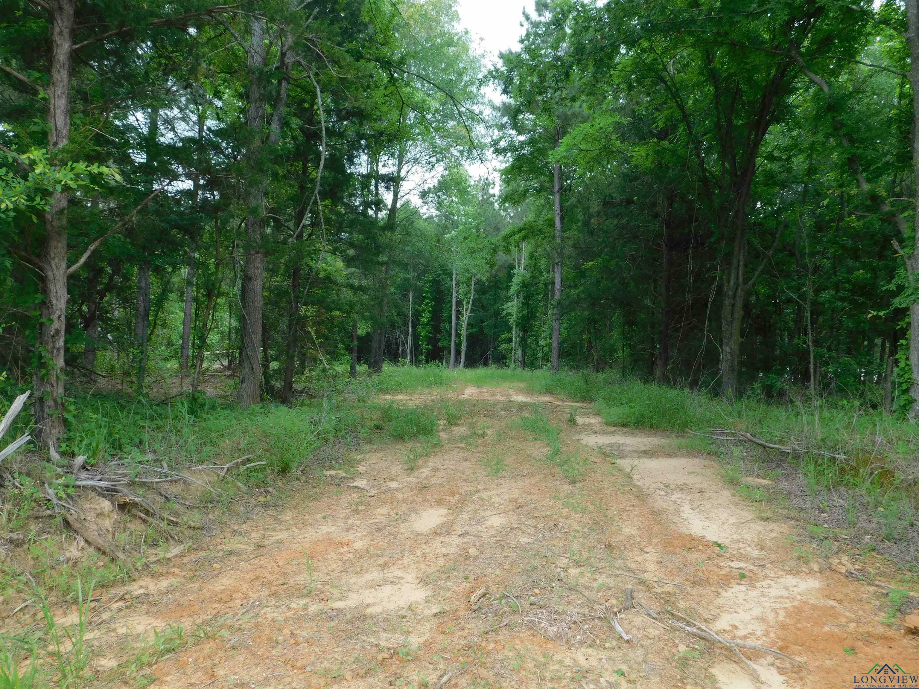 Property Photo: Tbd Groundhog Rd TX 75644