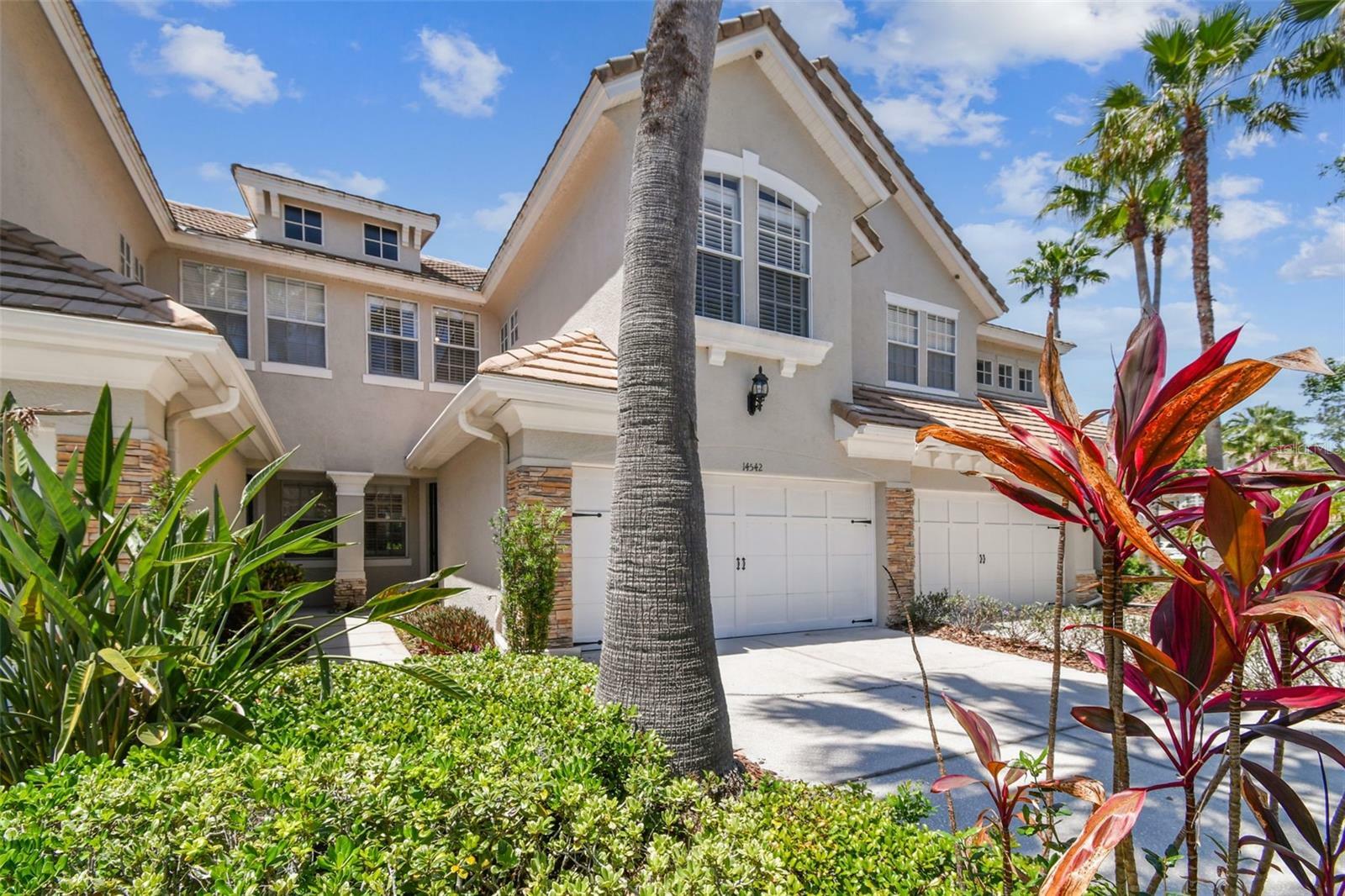 14542 Mirabelle Vista Circle  Tampa FL 33626 photo