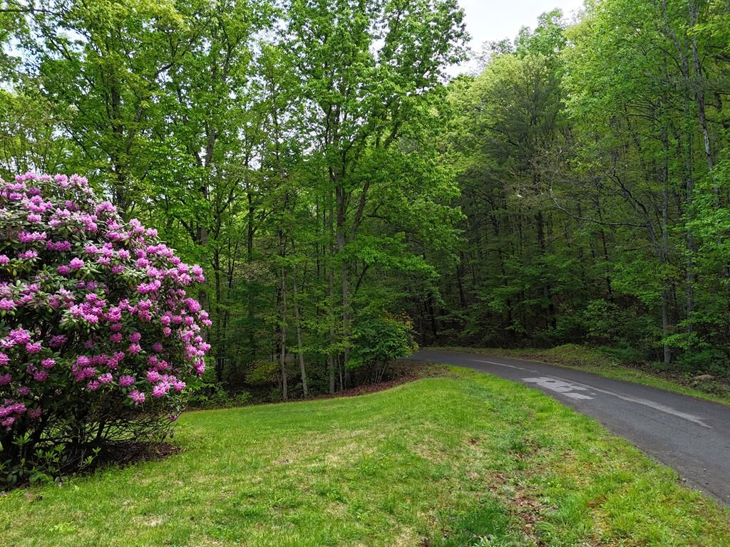 Property Photo: L93-95 Timberline GA 30582