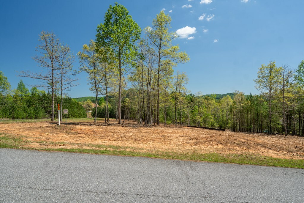 Property Photo: Lot 41 Sandy Lake Lane GA 30512