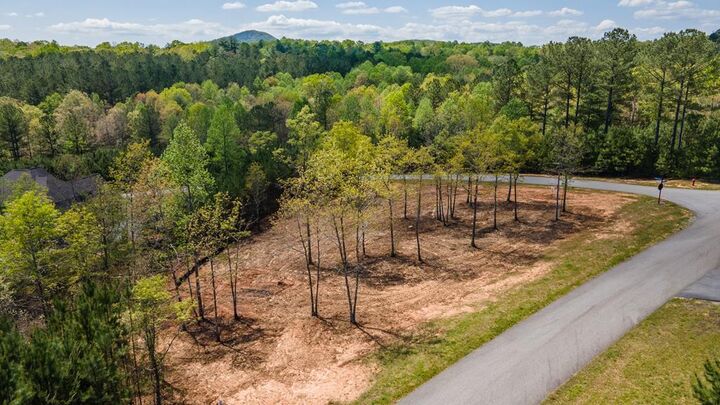 Property Photo:  Lot 41 Sandy Lake Lane  GA 30512 