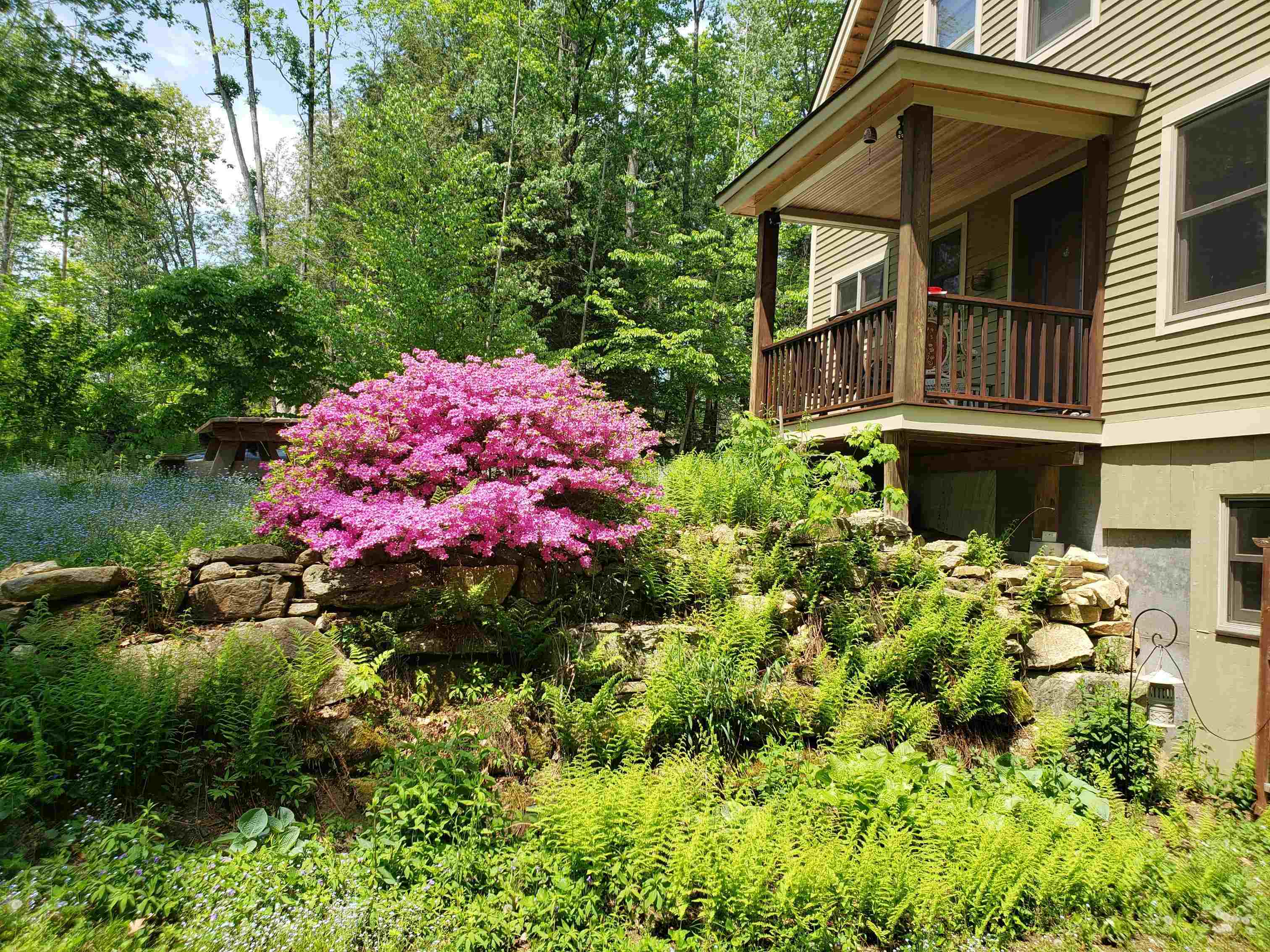 Property Photo: 55 South Village Road NH 03467