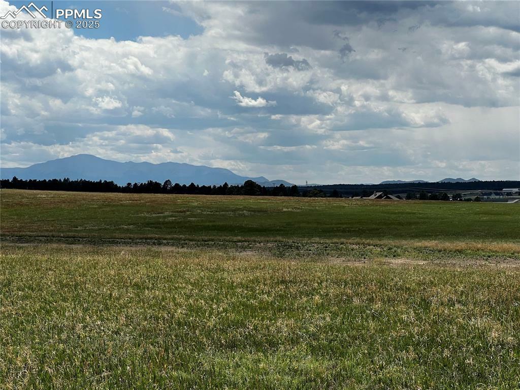 Property Photo: 16990 Early Light Drive CO 80908