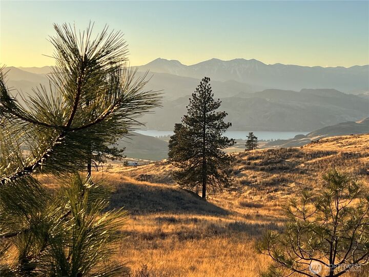 Property Photo:  0 Lot 41  Homestead Spur Road  WA 98844 