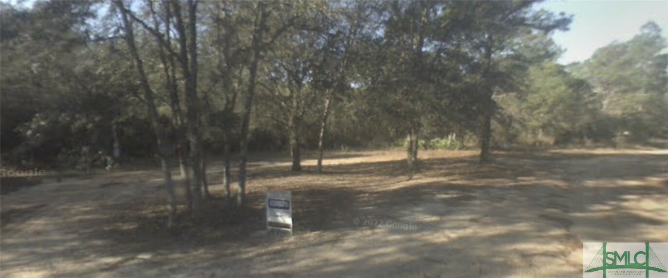 Property Photo: 541 Live Oak Lane GA 31321