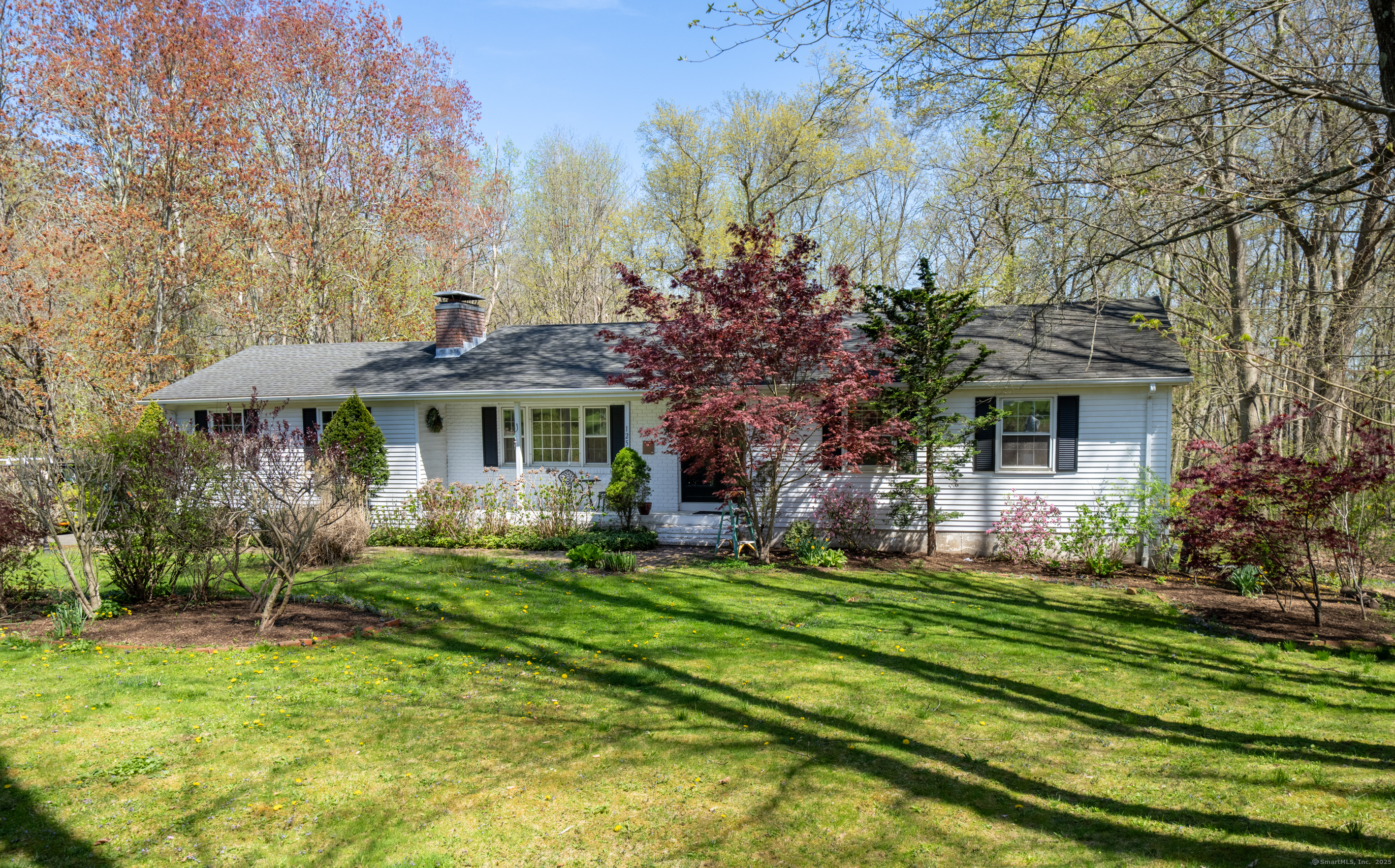 Property Photo: 125 Northford Road CT 06405