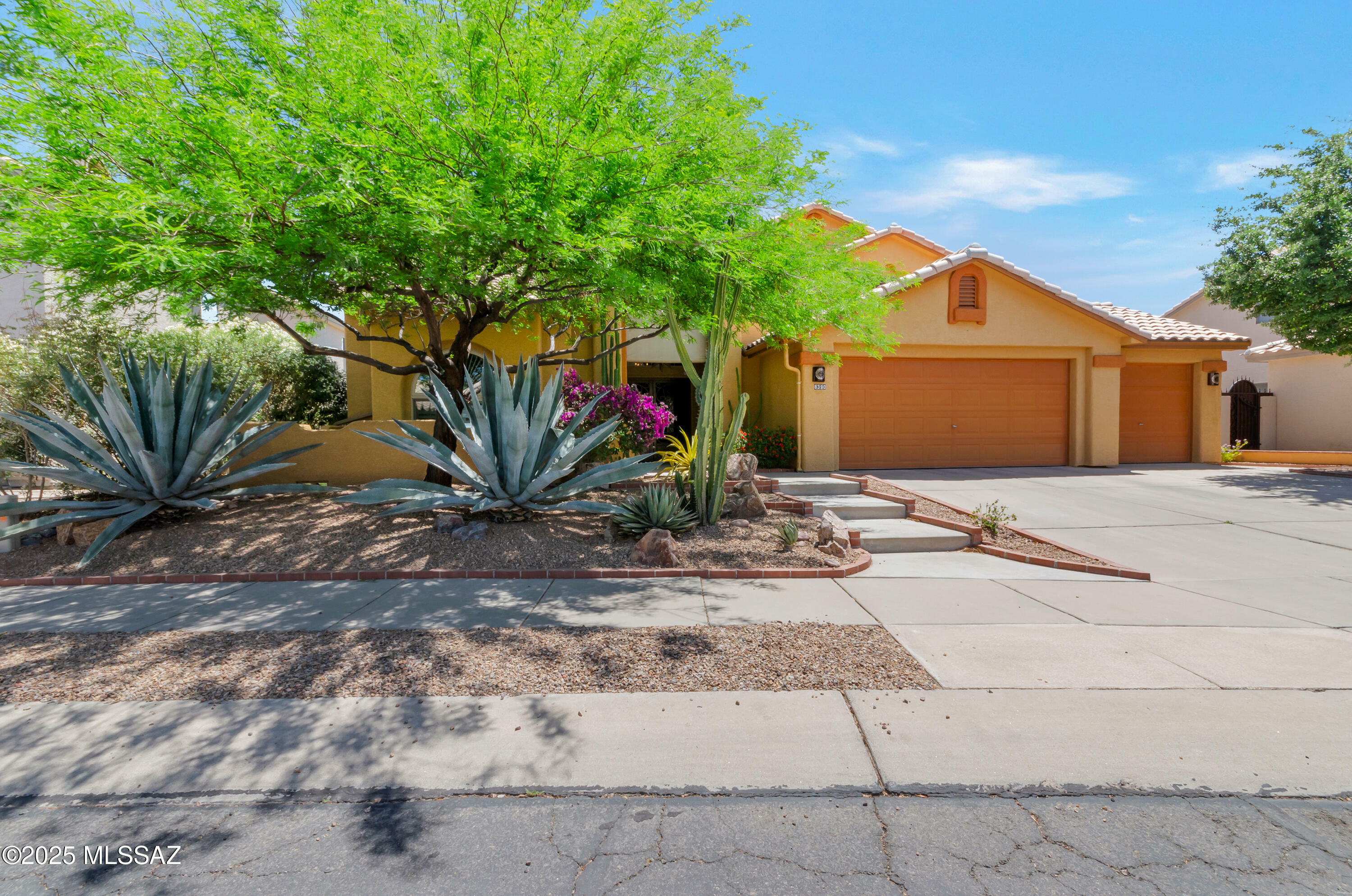 Property Photo: 8390 N Poudre Drive AZ 85743
