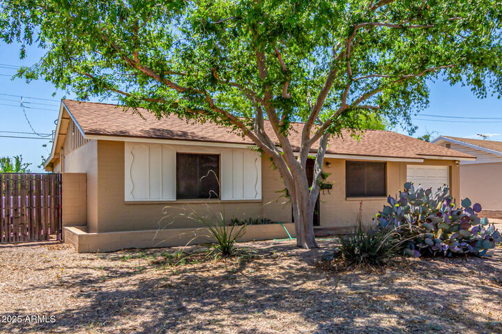 Property Photo:  355 E Fillmore Street  AZ 85288 