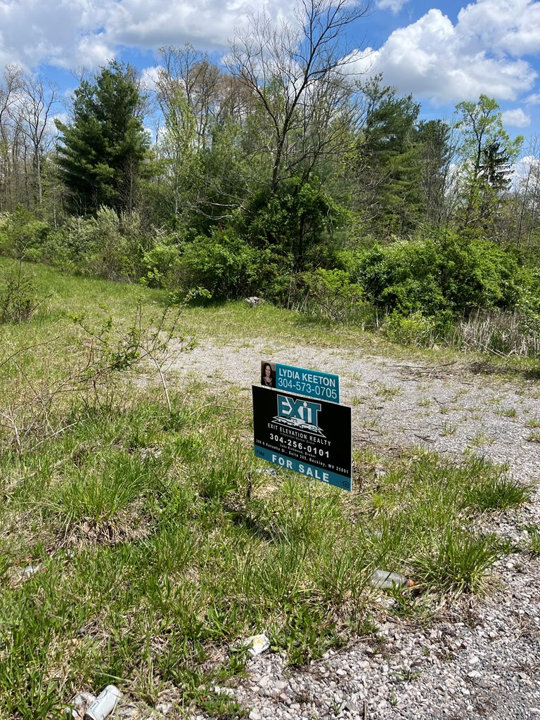 Property Photo: 0 Hinton Road WV 25989