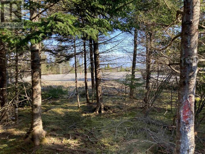 Photo de la propriété:  Lot 21-8 Mary Cecelia Ridge  NS B0H 1P0 