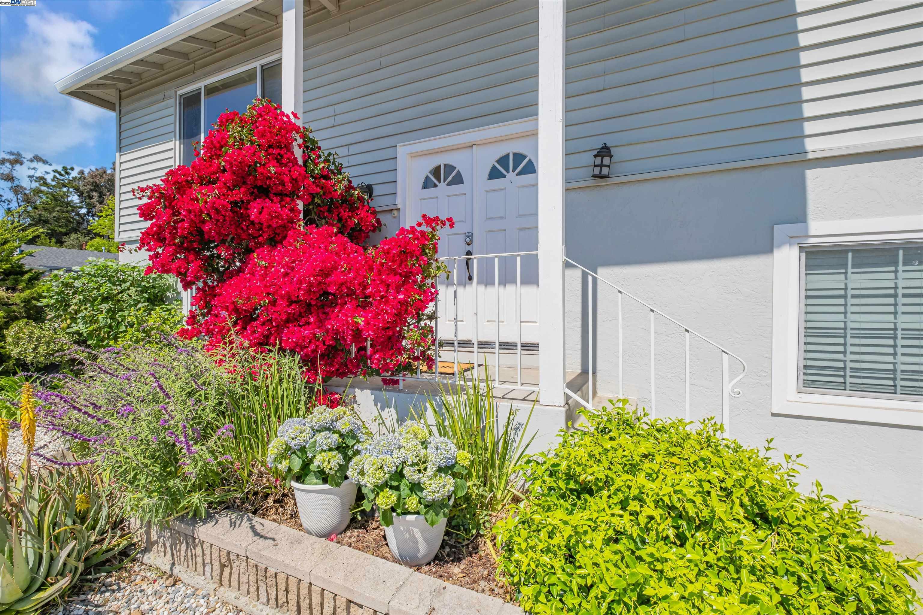 Property Photo: 431 Monaco Ave CA 94587