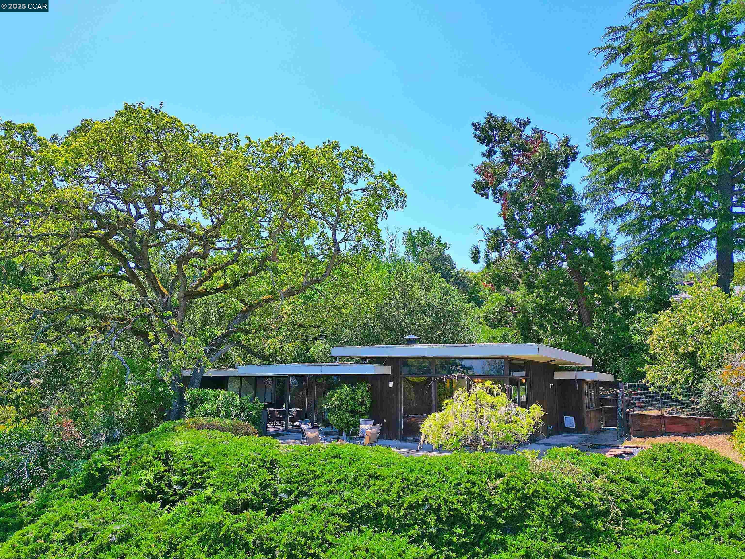 Property Photo: 58 Terrace Road CA 94597