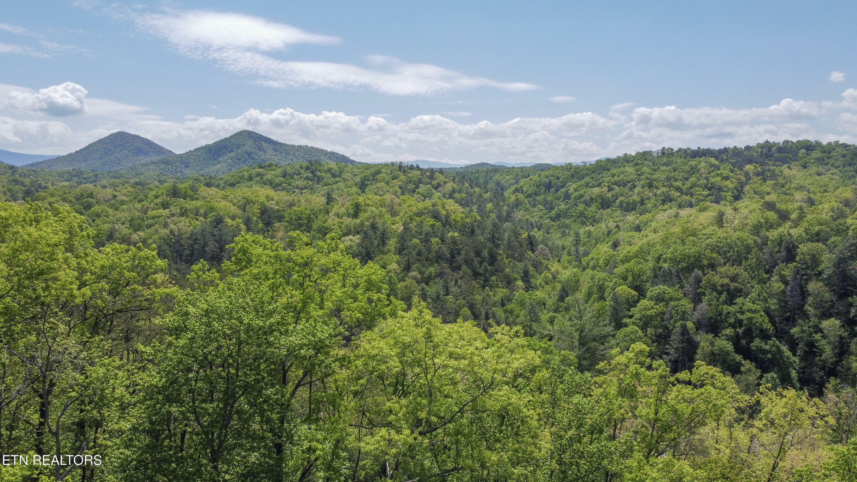 Property Photo: 1820 Oakwood Road Rd TN 37886