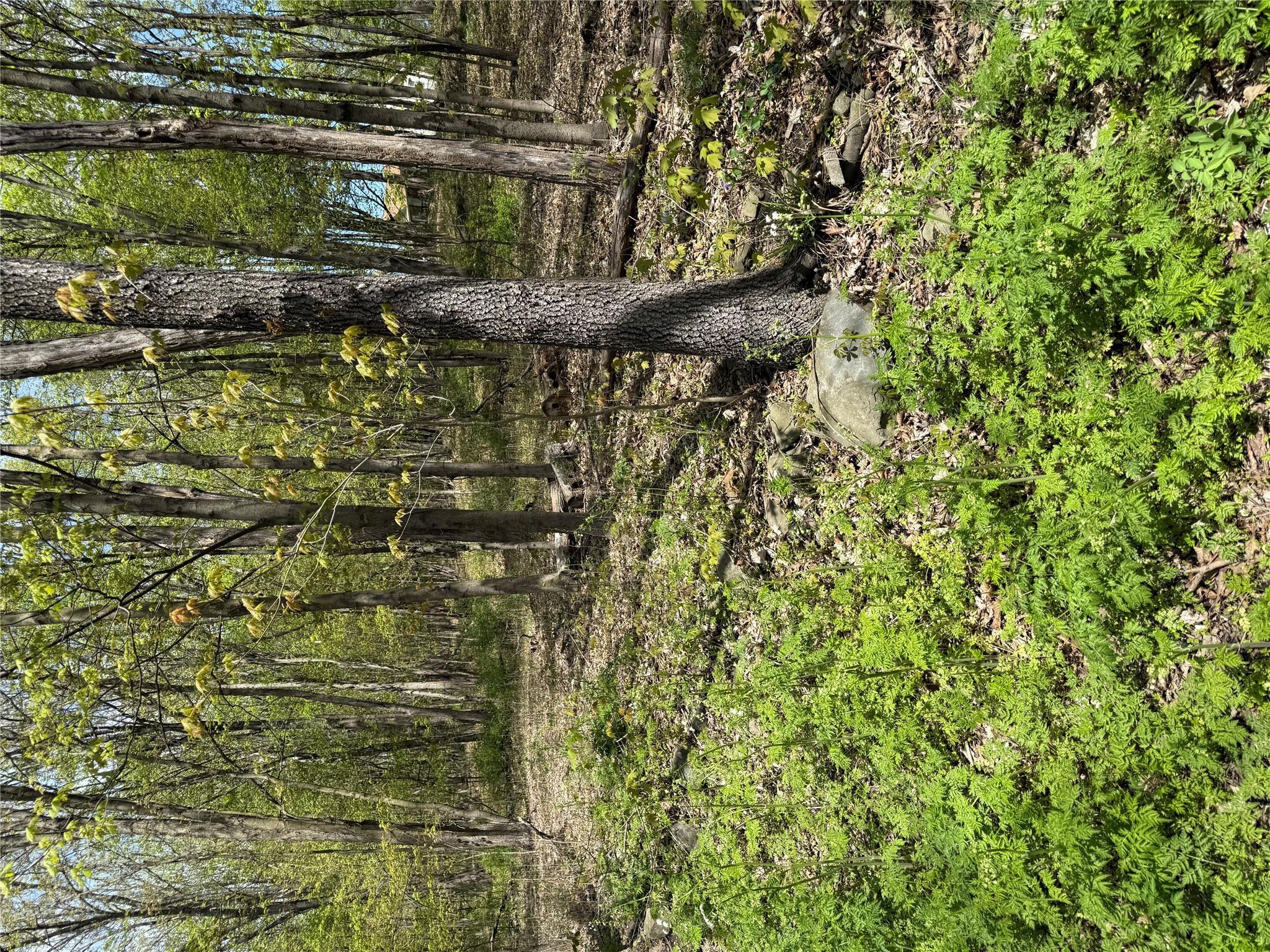 Property Photo: 120 Floyd Ackert Road NY 12493