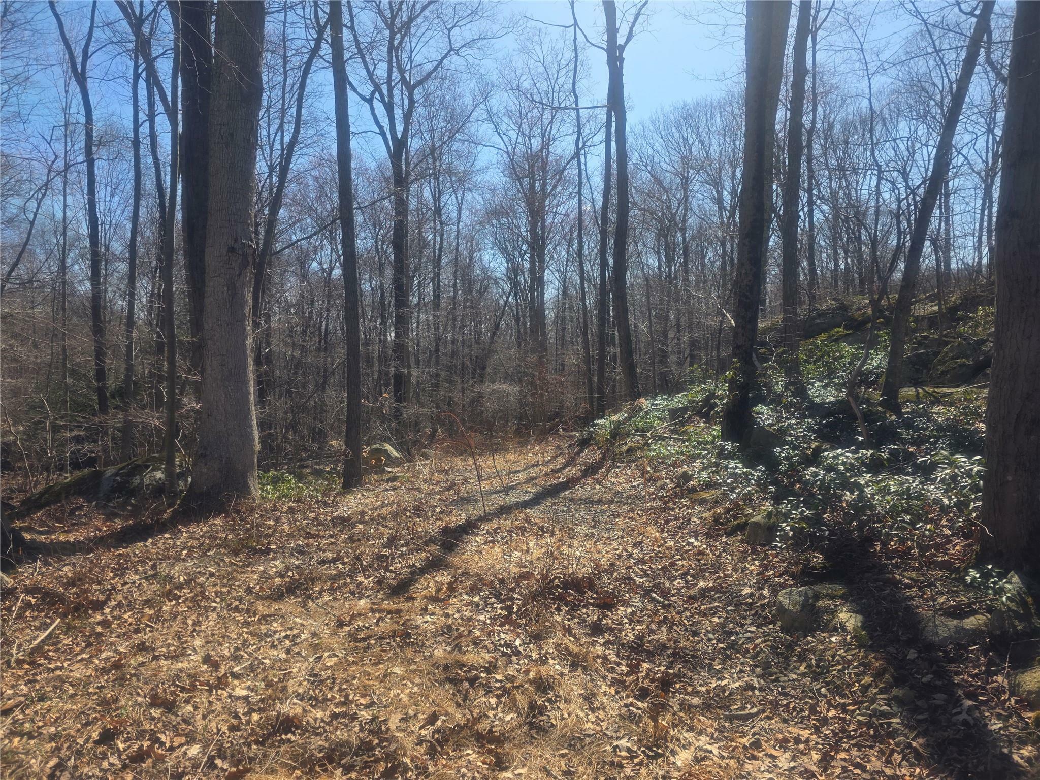 Property Photo: South Road NY 12531
