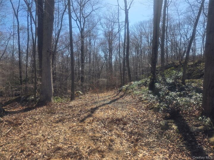 Property Photo: South Road NY 12531