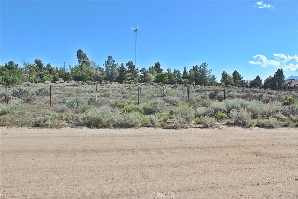 Property Photo: 11433 Jenny Street CA 92344