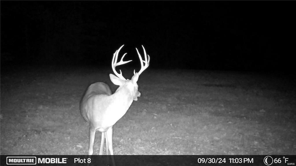 Property Photo: 0 Tract 2 (160+/- Acres) Lodge Road MO 65441