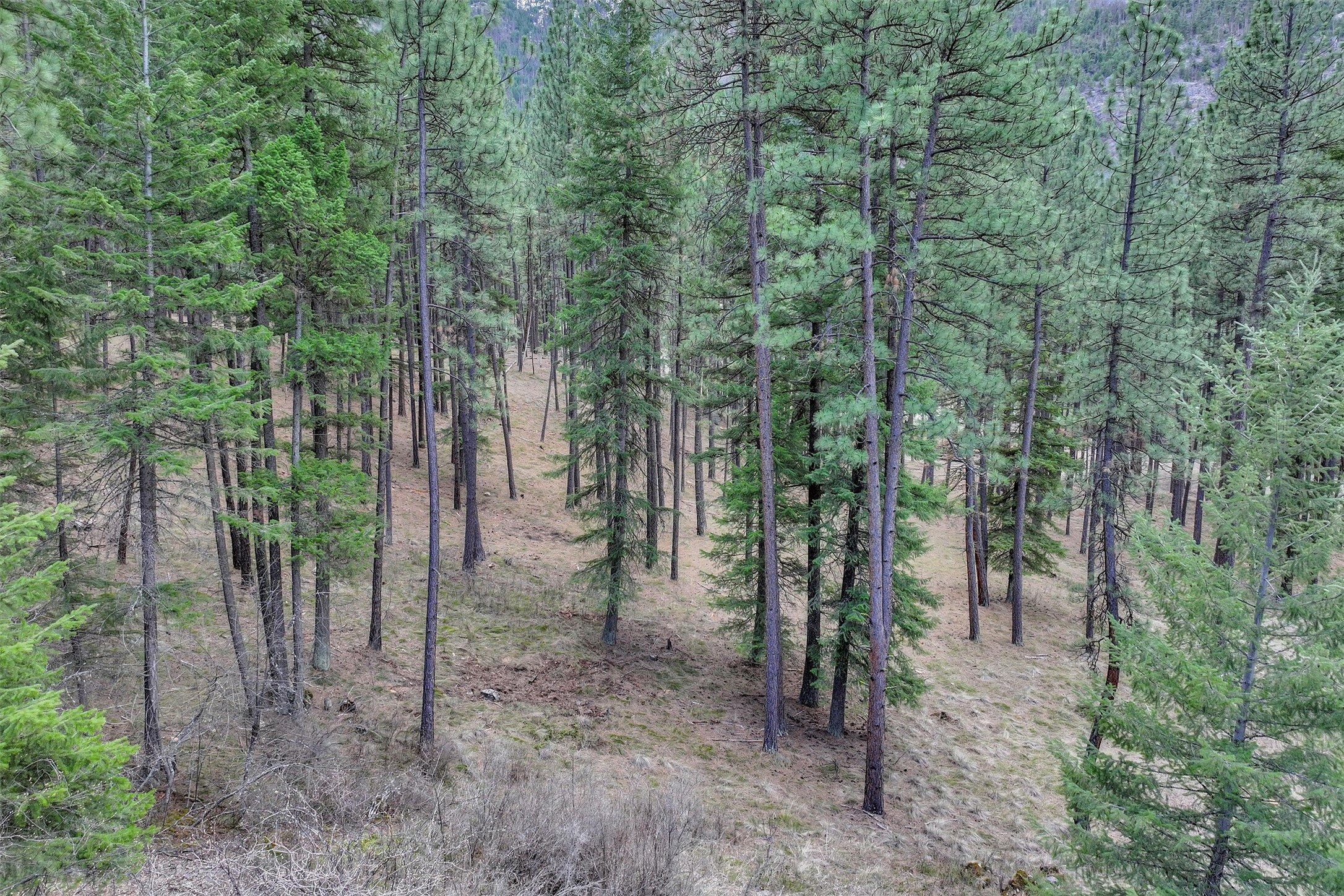 Property Photo: Nhn Profile Rock MT 59820