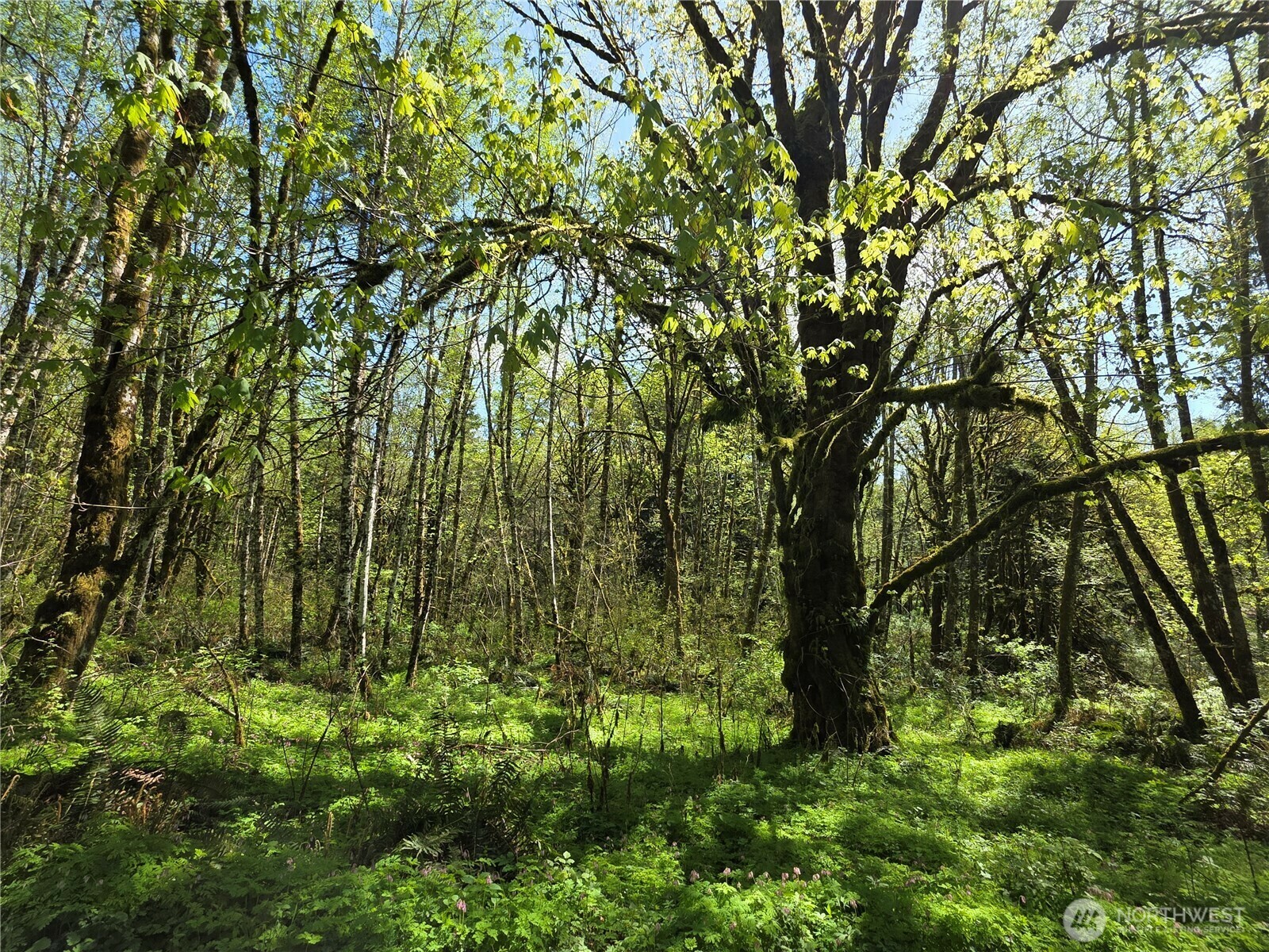 Property Photo: 0 Mill Falls Lane WA 98632