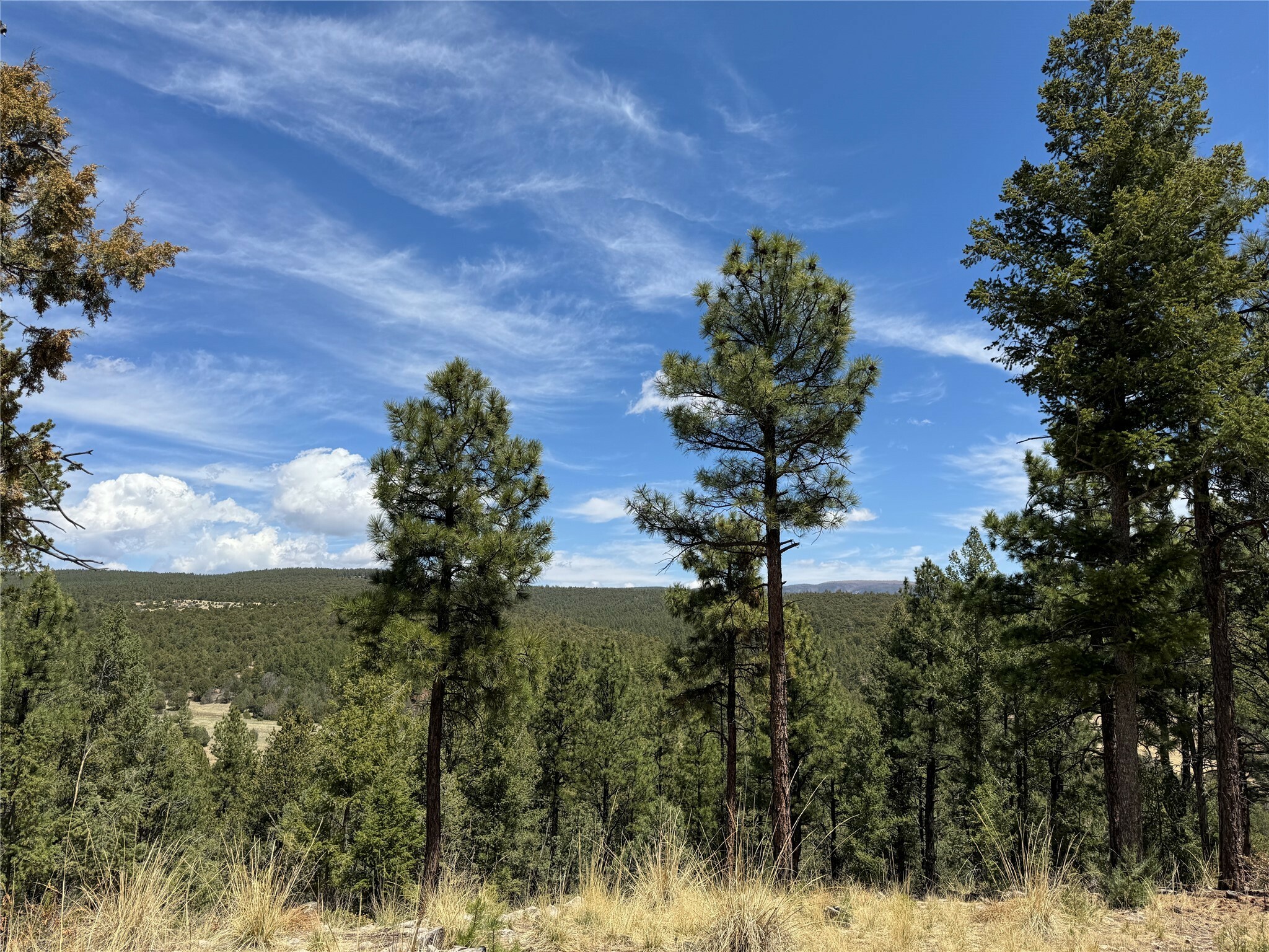 Property Photo: 21 Los Nidos Lane NM 87552
