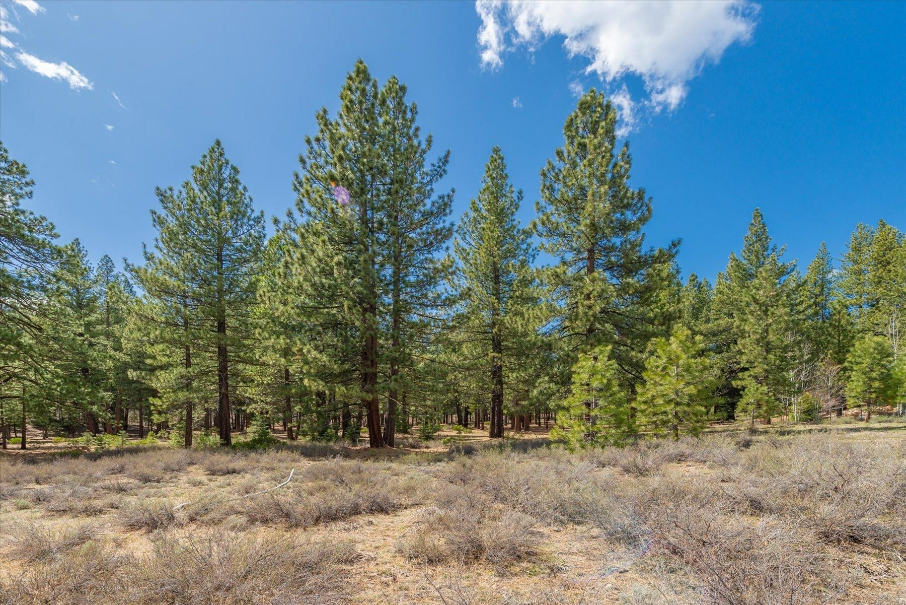 Property Photo:  11690 Bottcher Loop  CA 96161 