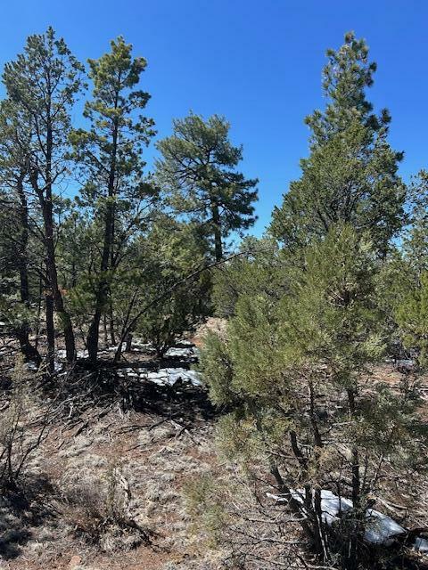 Property Photo: 7720 Mogollon Trail AZ 86024