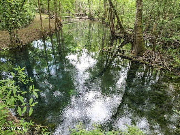 Property Photo: 000 79 Highway FL 32462