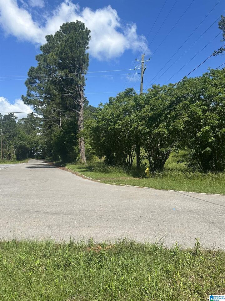 Property Photo:  1225 Pine Harbor Road 11  AL 35128 